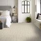 Shaw Tranquil Spirit Carpet in Natural, , large