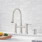 Blanco Empressa Pull-Down Faucet in Polished Nickel, , large