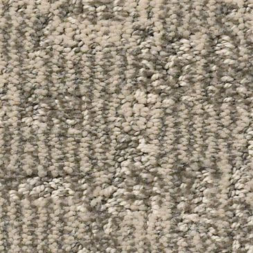 Anderson Tuftex Paw-Tay Carpet in Danville, , large