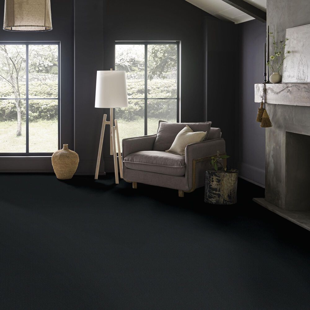 Anderson Tuftex Finery Carpet in Onyx, , large