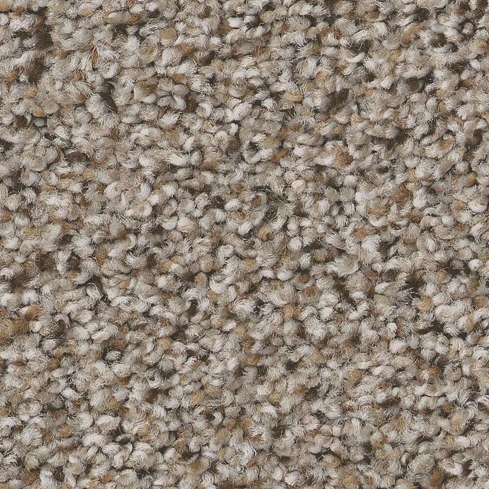 Shaw Abilene I Carpet in Acreage, , large