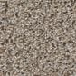 Shaw Abilene I Carpet in Acreage, , large