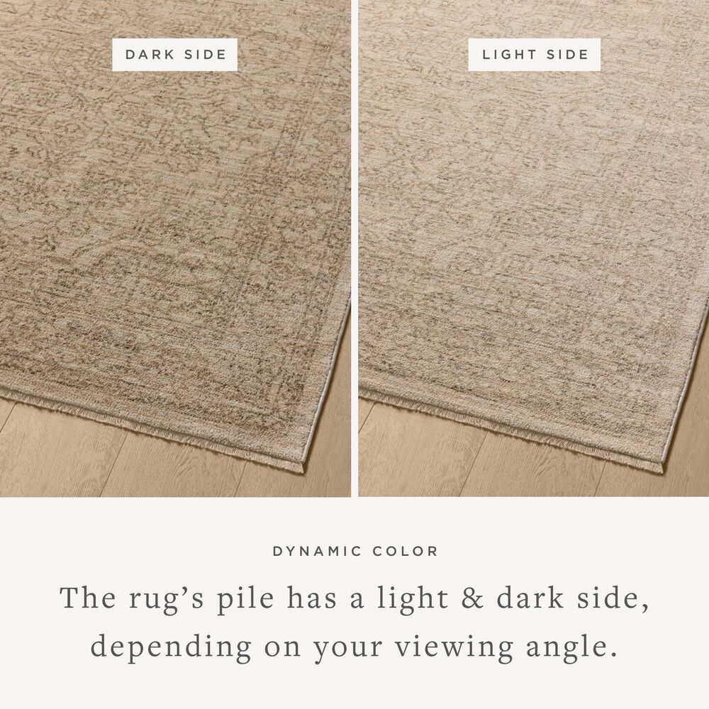 Loloi II Newman 3&#39;11&quot; x 5&#39;7&quot; Taupe and Bone Area Rug, , large