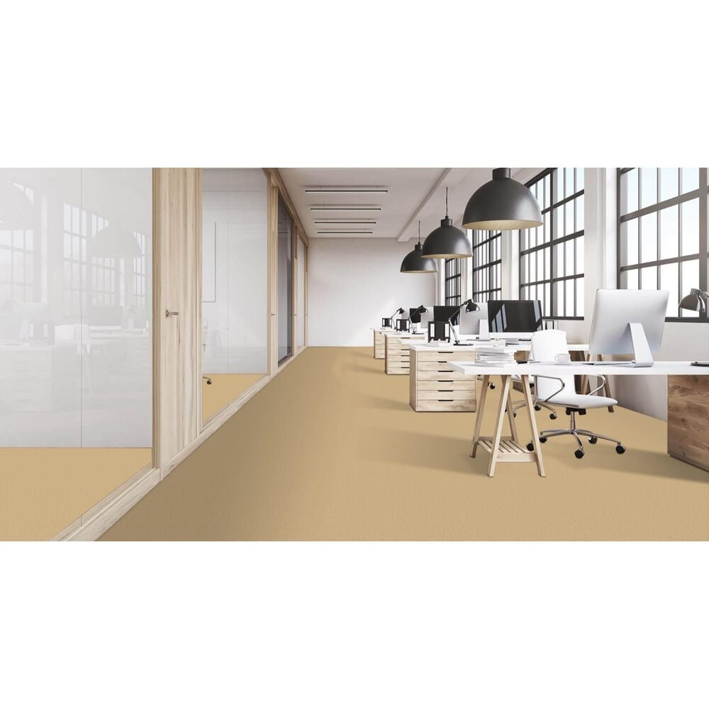 Masland Miami Carpet in Ambiance, , large