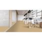 Masland Miami Carpet in Ambiance, , large