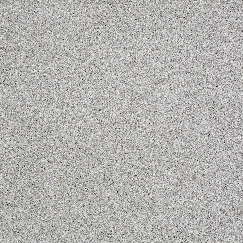 Philadelphia Take The Floor Tonal Blue Carpet in Mystic Shop NFM