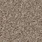 Shaw Good Idea Carpet in Grecian Tan, , large