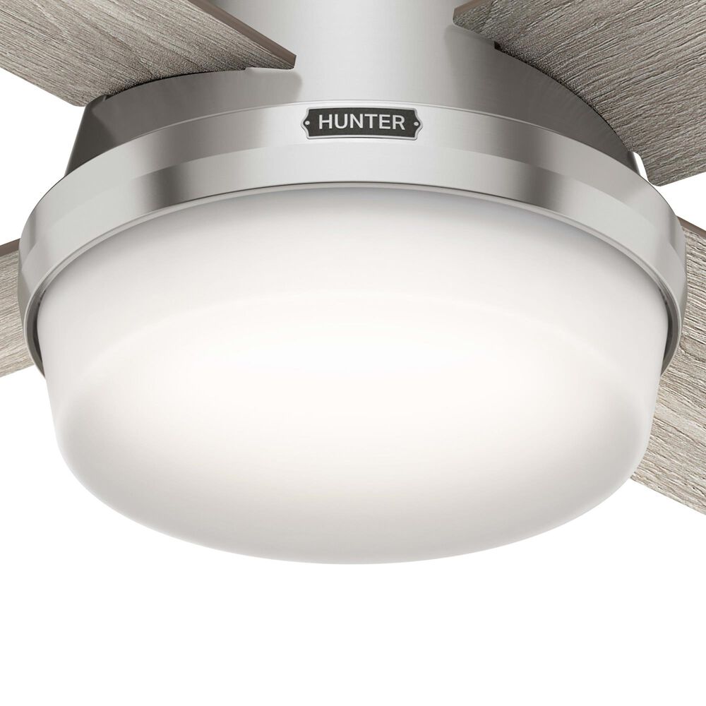 Hunter Dempsey Low Profile 44&quot; Ceiling Fan with Light Gray Oak Blades in Brushed Nickel, , large
