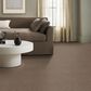 Anderson Tuftex Bali Carpet in Rocky Ridge, , large