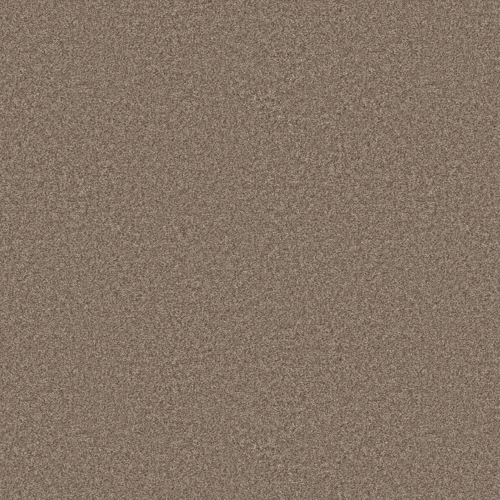 Shaw You Got This II Carpet in Cameo, , large