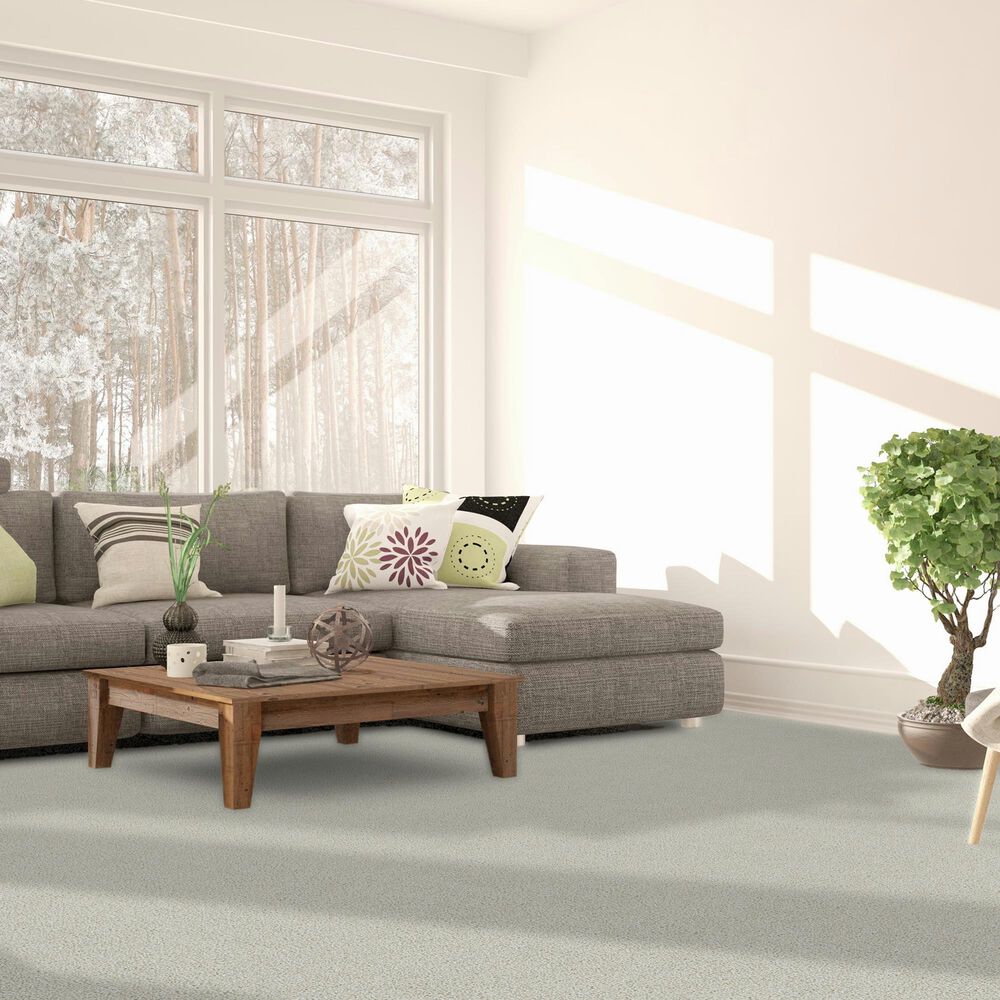 Dream Weaver Breakview I Carpet in Cuddle Up, , large