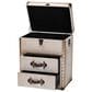Baxton Studio Agatha 2-Drawer Storage Trunk in Beige, , large