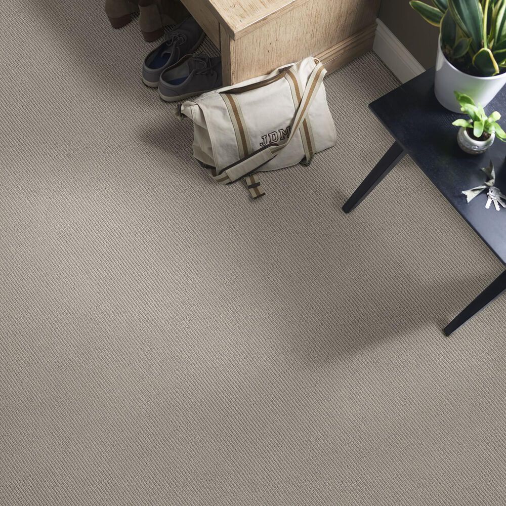 Anderson Tuftex Dynasty Carpet in Dove Tail, , large