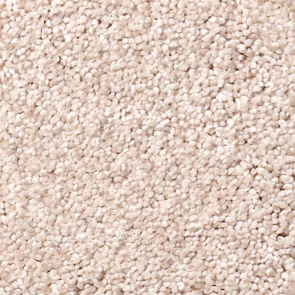 Shaw Find Your Comfort TT I Carpet in Soft Lullaby, , large