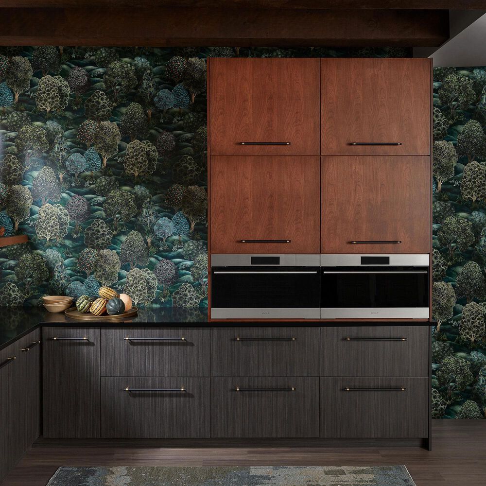 Wolf Appliances 1.6 Cu. Ft. E Series Transitional Drop-Down Door Speed Oven in Stainless Steel, , large