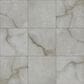 Shaw Astoria Brindle 23.5" x 23.5" Polished Porcelain Tile, , large
