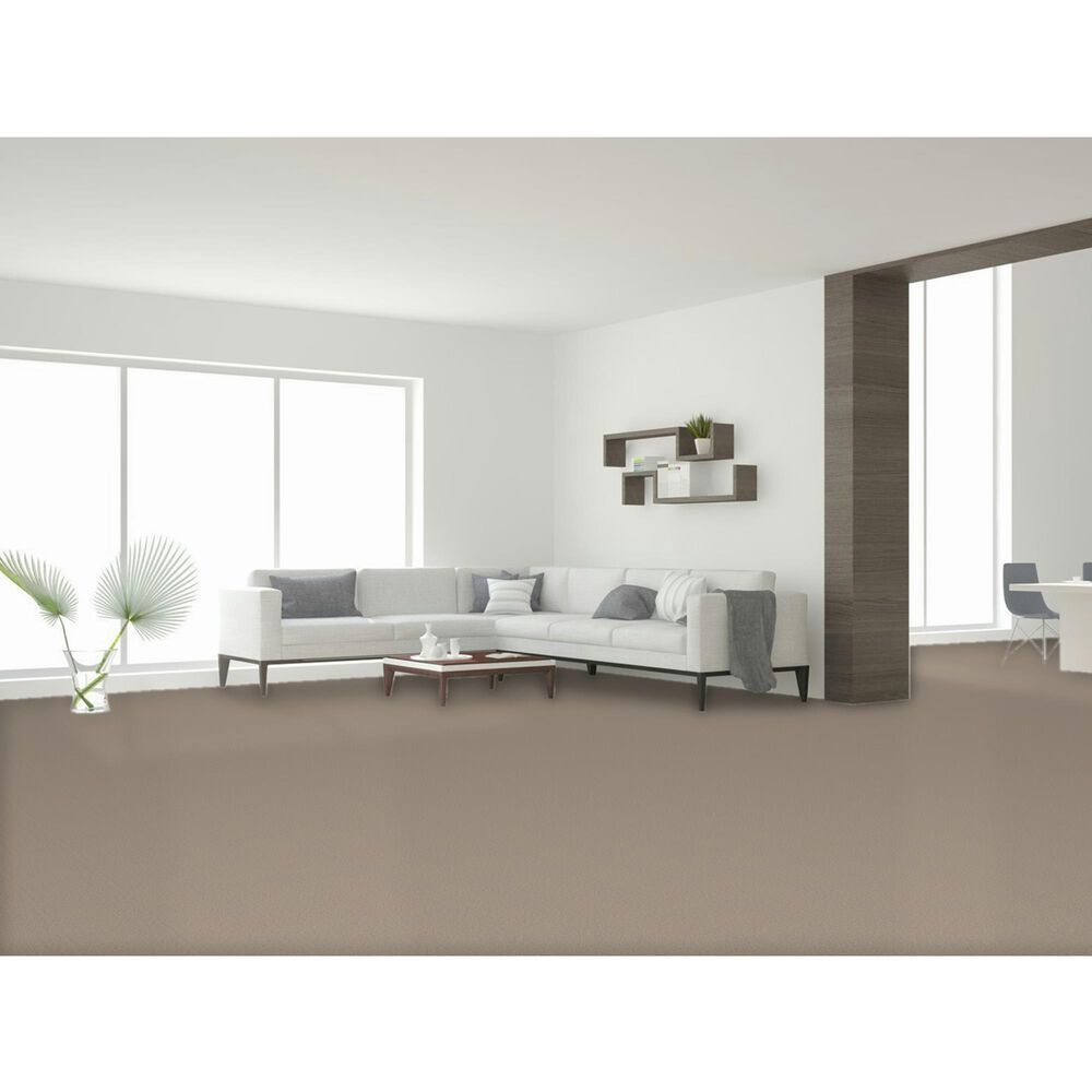 Dream Weaver East Hampton 2550 Carpet in Sawgrass, , large
