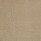 Masland Panache Carpet in Tumbleweed, , large