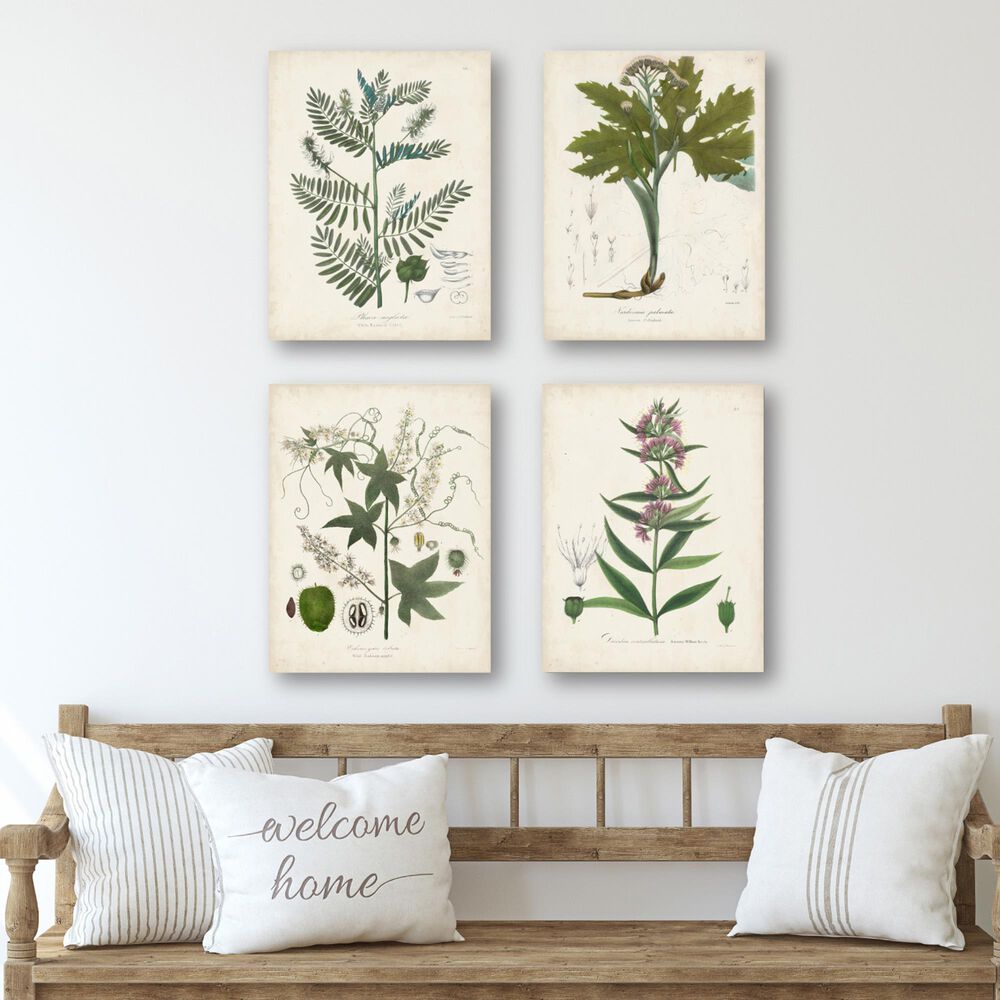 Courtside Market Flowering Floral 4-Piece Canvas Set, , large