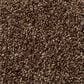 Shaw Find Your Comfort TT Blue Carpet in Chocolate Treat, , large