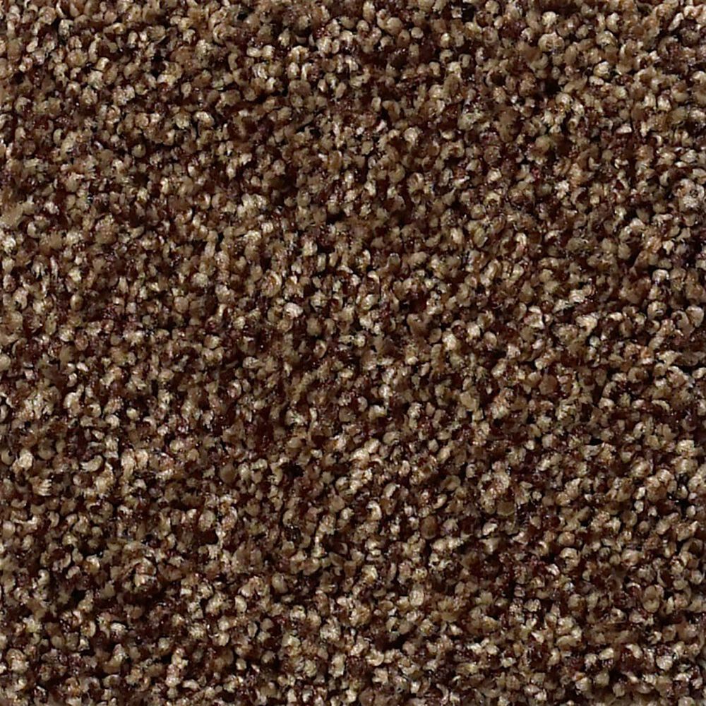 Shaw Find Your Comfort TT Blue Carpet in Chocolate Treat, , large