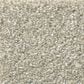 Shaw Simply the Best Attainable Carpet in Desert Light, , large