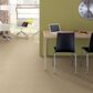 Anderson Tuftex Mosaic Carpet in Bungalow, , large