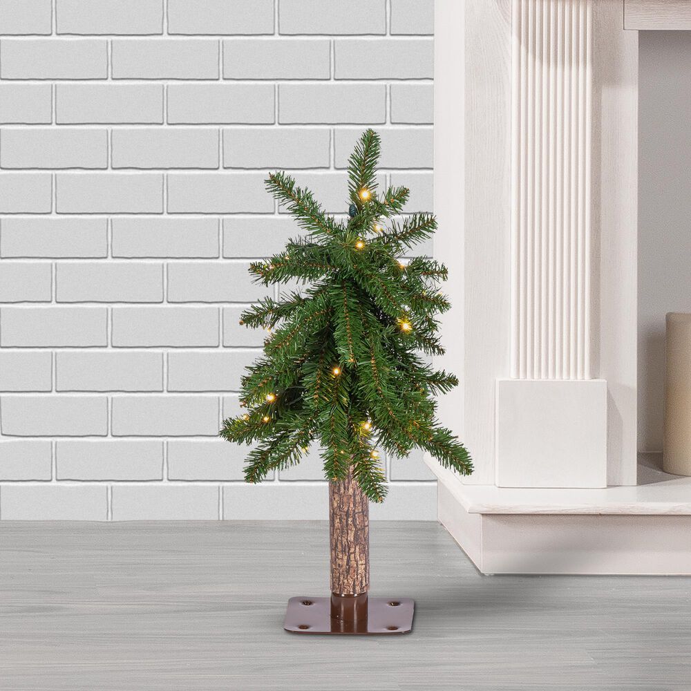 The Gerson Company 2&#39; Alpine Pre-Lit Artificial Christmas Tree in Green, , large