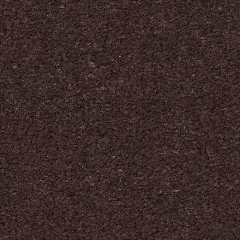Anderson Tuftex Finery Carpet in Coffee Bean, , large