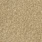 Masland Classical Carpet in Rhythm, , large
