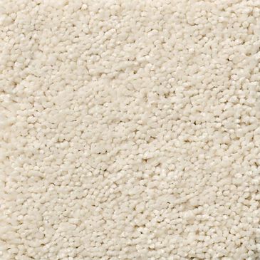 Anderson Tuftex Art Form Carpet in Almond Silk, , large