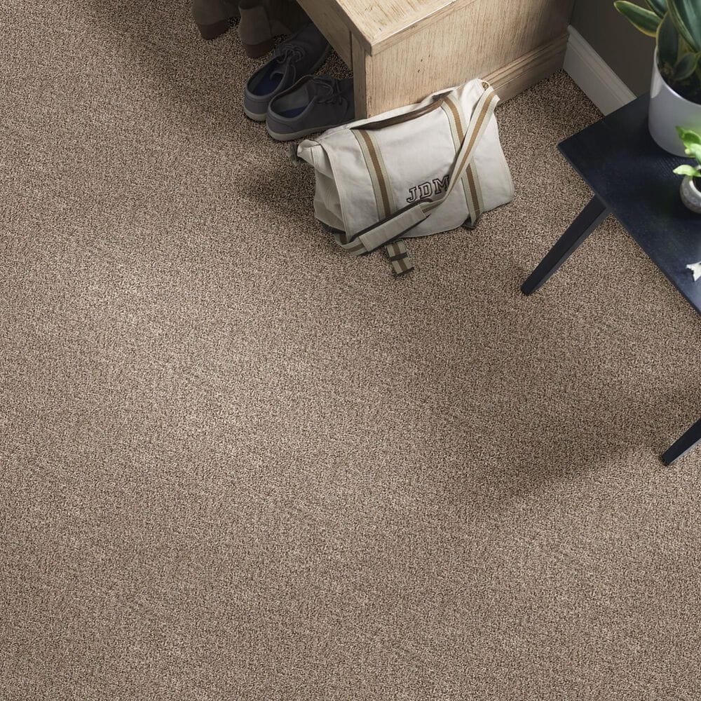 Shaw Simply the Best Cabana Life Carpet in Mesa, , large