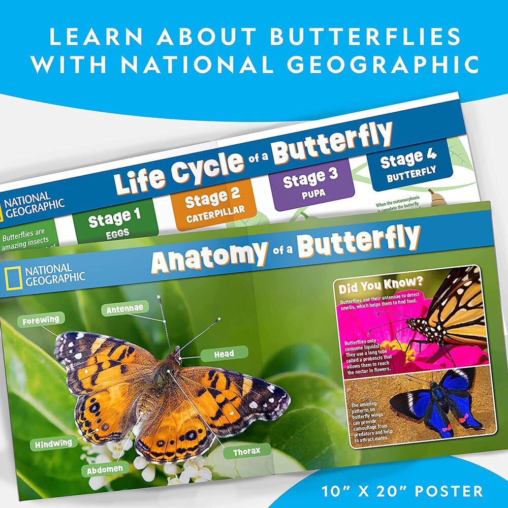 National Geographic Butterfly Growing Kit, , large