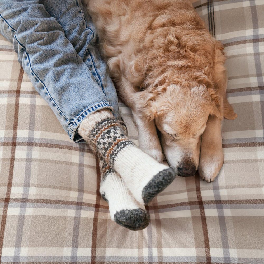 Levtex Spencer Plaid 3-Piece King/California King Comforter Set in Neutral, , large