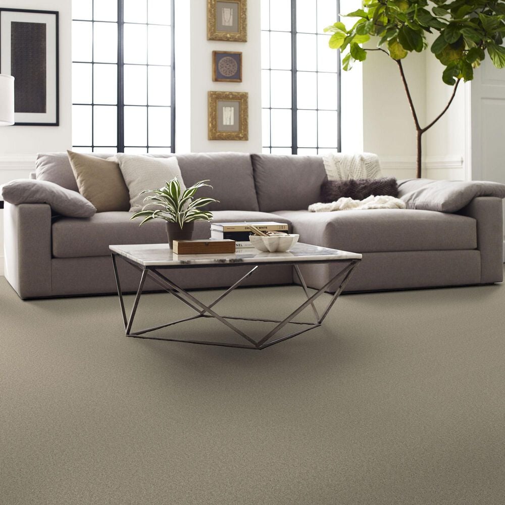Shaw Comforting II Carpet in Chamois, , large