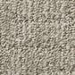 Anderson Tuftex Wanderer Carpet in Sage, , large