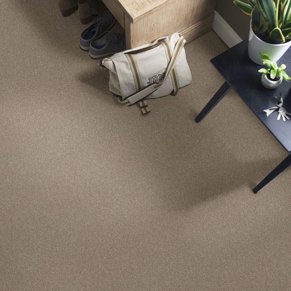 Shaw Simply the Best Attainable Carpet in Pebble Path, , large