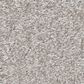 Shaw You Got This II Carpet in Frozen, , large