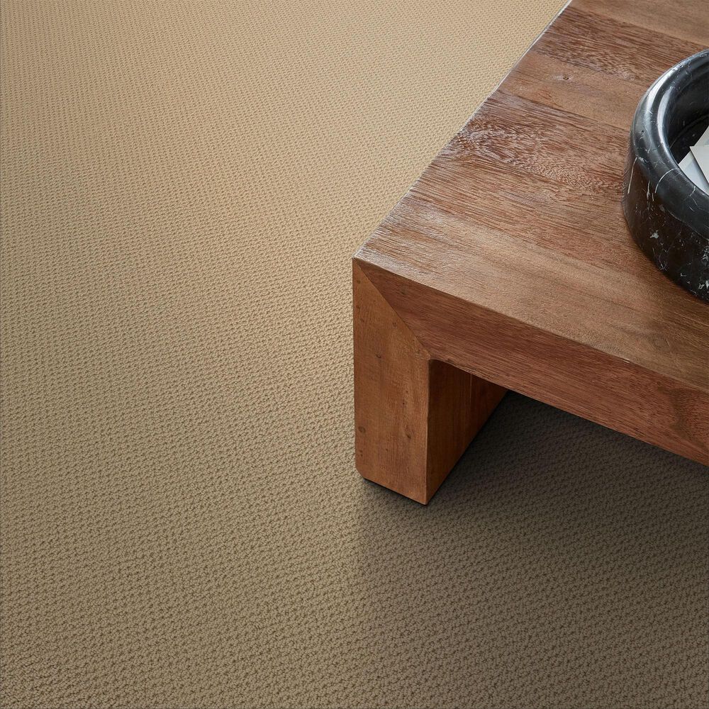 Anderson Tuftex Gracious Carpet in Plateau, , large
