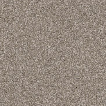 Dixie Home Herder Carpet in Yorkie, , large