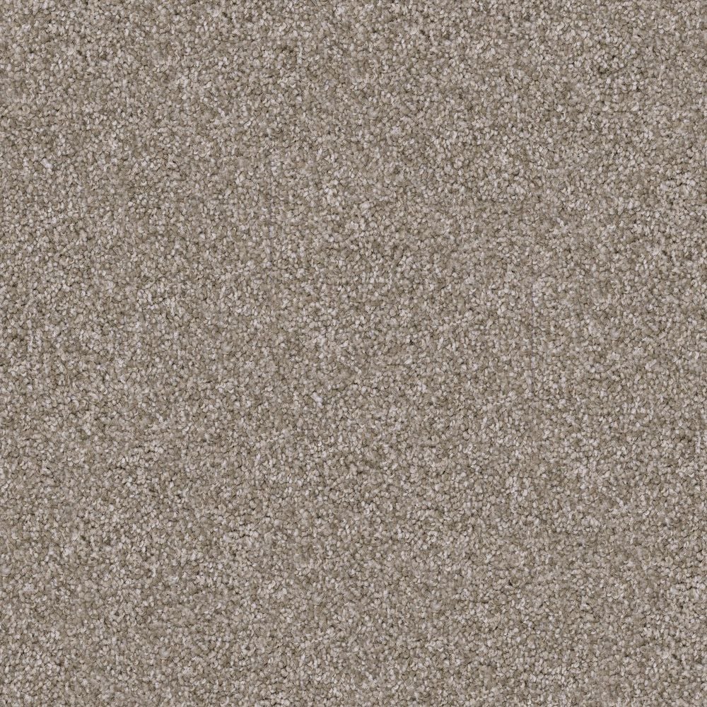 Dixie Home Herder Carpet in Yorkie, , large