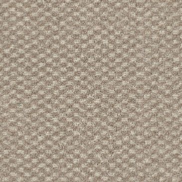 Dixie Home Soft Touch Carpet in Peaceful, , large
