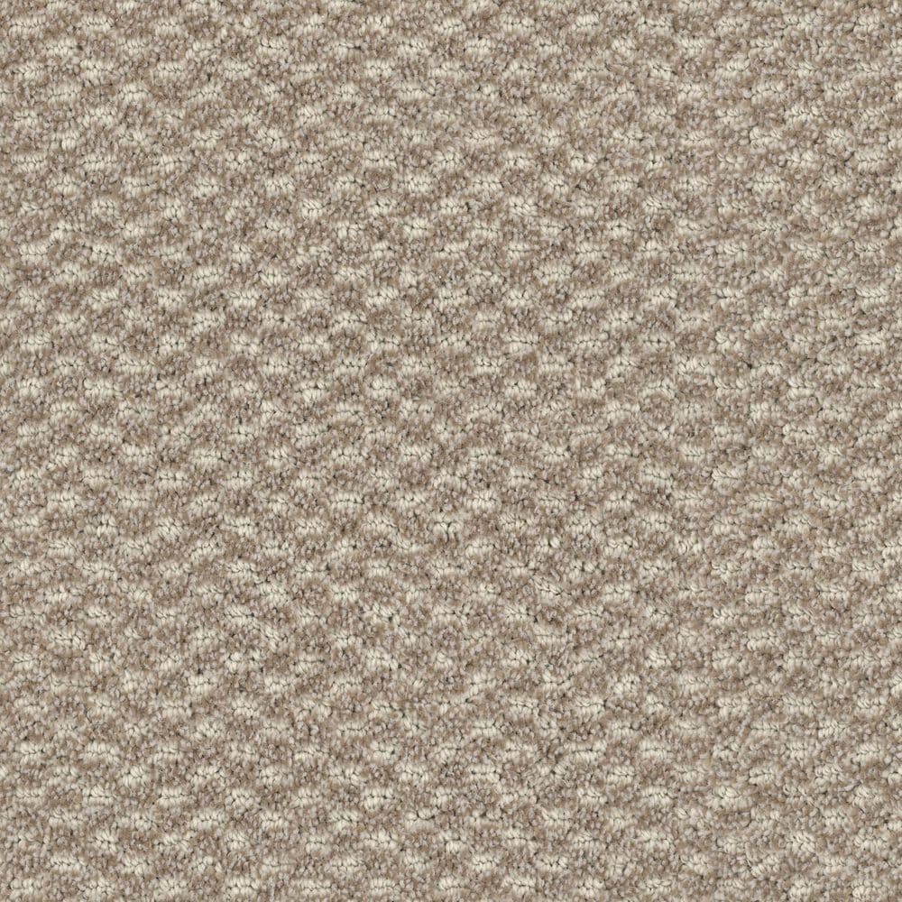 Dixie Home Soft Touch Carpet in Peaceful, , large