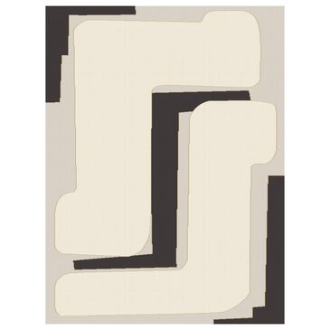 Balta Rugs Duncan 5"3" x 7" White and Black Area Rug, , large
