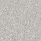Shaw Way To Go I Carpet in Pixel, , large