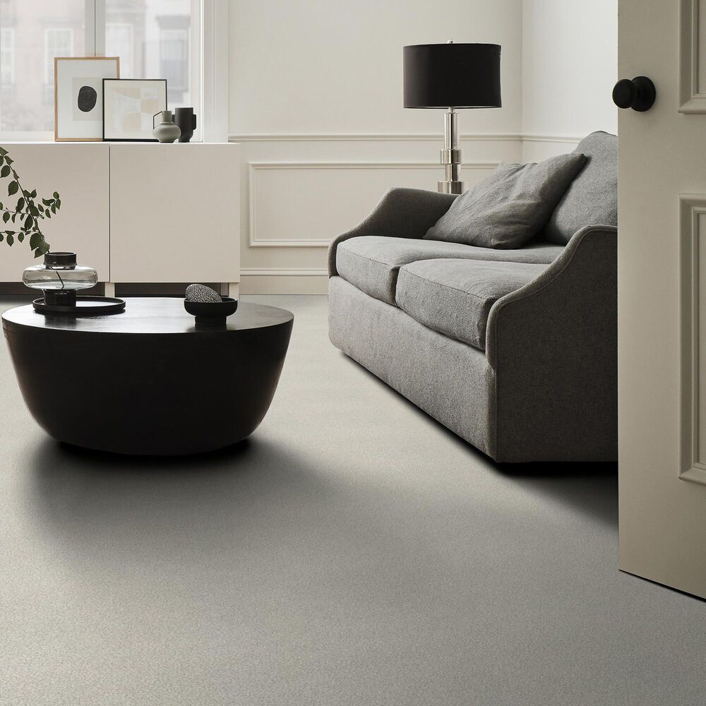 Shaw Tonal Comfort Ii Carpet in Need A Hug, , large