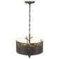Golden Lighting Arboreal 4-Light Pendant in Antique Black, , large