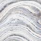Safavieh Cyrus Shag CYR124A 4"5" x 6"5" Ivory and Grey Area Rug, , large