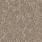 Shaw Clever Choice Carpet in Kindling, , large