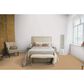 Dixie Home Neverland Carpet in Gettysburgh, , large